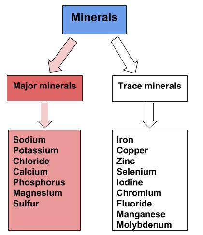 Unveiling the Crucial​ Role of Intracellular Minerals in Optimal ‌Health